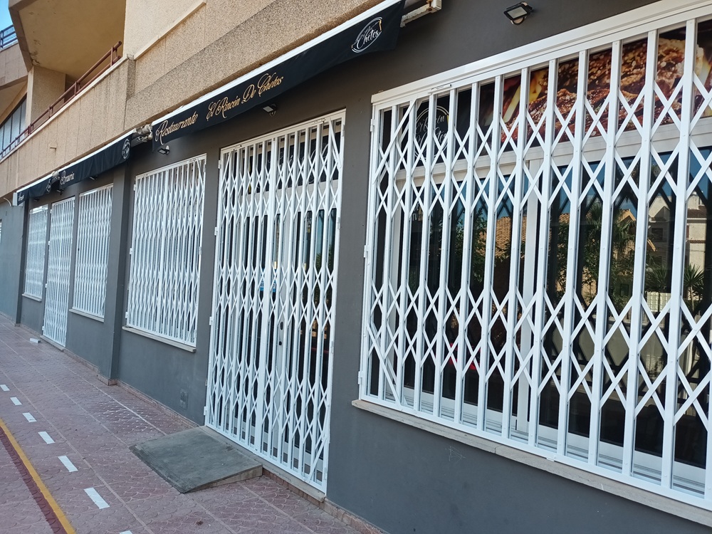 Puerta comercial 1